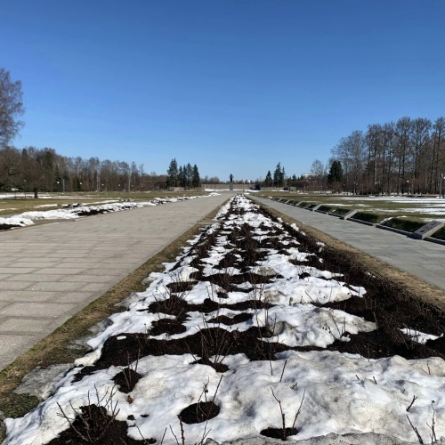 Пискарёвское кладбище: никто не забыт, ничто не забыто!