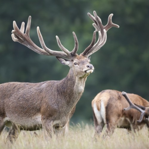 Джип-путешествие к священному озеру Манас
