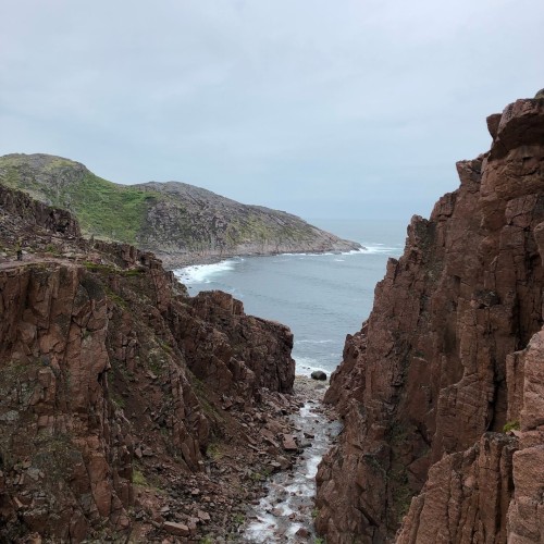 Уик-энд на Кольском: дегустация морепродуктов, Териберка, киты и экскурсия по Мурманску