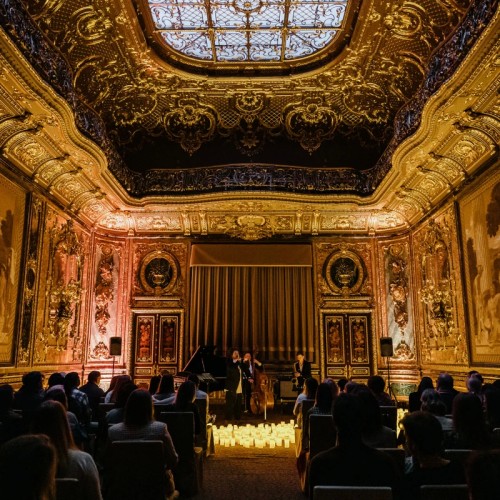 Музыкальный салон в особняке Половцова