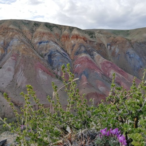 Автовыезд только для вашей компании: от Горно-Алтайска до границы с Монголией
