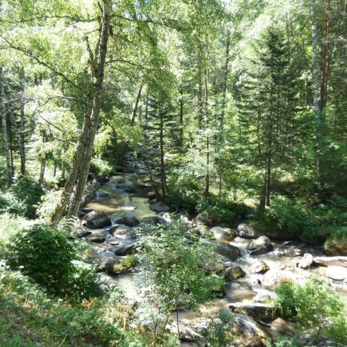 Этнотур по Алтайскому краю и Республике Алтай: всё включено