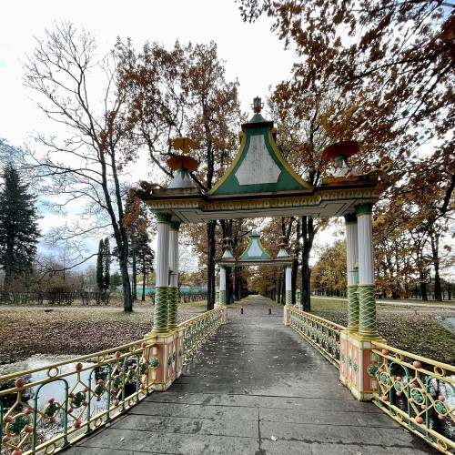 Китайский бум на берегах Невы: Петербург и Царское Село