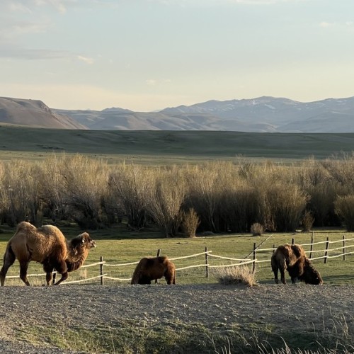 Хайкинг по главным местам Алтая: горы, озёра и водопады