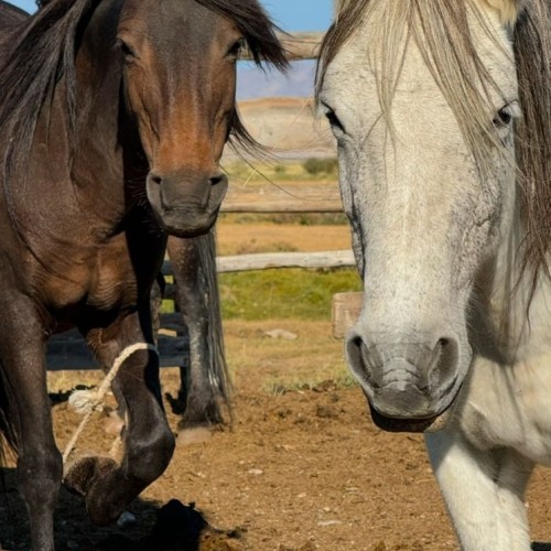 Комфорт-тур на Алтай с фотографом: полёт на вертолёте, парение и главные места (всё включено)