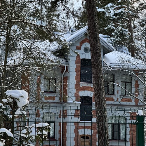 Гений русской архитектуры: как Василий Косяков навсегда изменил Петербург