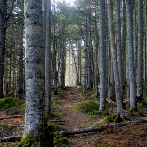 Объятый ветрами: автопутешествие по знаковым локациям Сахалина