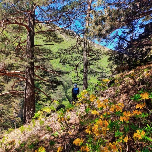 Семейный треккинг в Дигории с размещением в гостинице