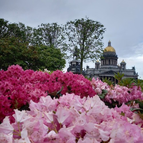 Обзорная по Петербургу: программа максимум