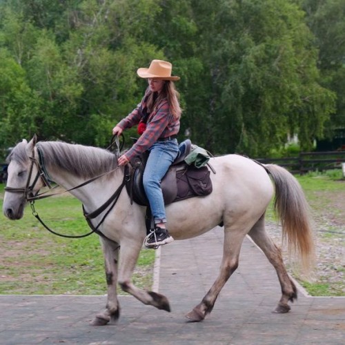 Наедине с природой Алтая: активное путешествие с конными прогулками и походом
