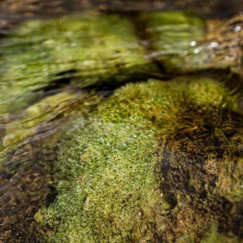 Комфорт-тур на Алтай с фотографом: полёт на вертолёте, парение и главные места (всё включено)