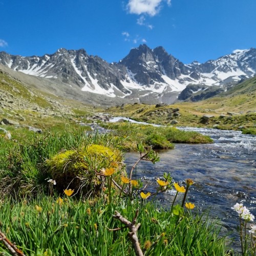 А давай в Домбай? Треккинг без рюкзаков