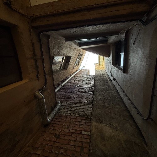 По Васильевскому с островитянином!