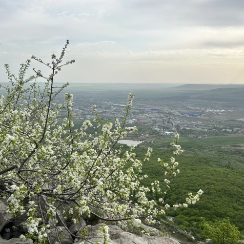 Восхождение на Змейку: панорамы, горы, самолёты