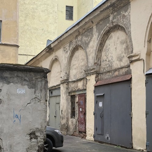 По Васильевскому с островитянином!