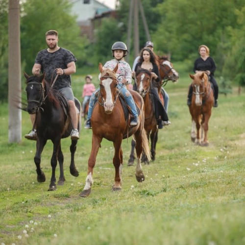 Конная прогулка в Нижнем Новгороде