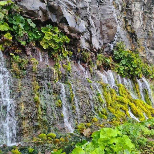 Большое путешествие по островам: Сахалин и Итуруп, Кунашир и Шикотан