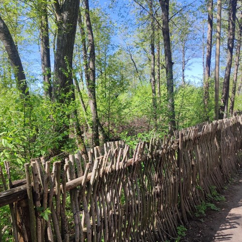 Экскурсия 3 в 1: Кронштадт + батарея Демидов + заказник Западный Котлин