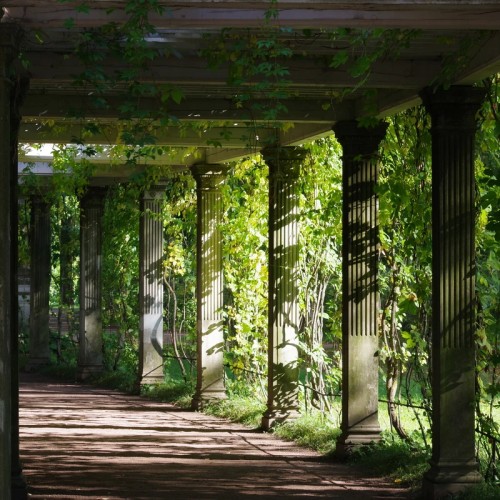 Автобусная экскурсия в Царское Село — всё включено