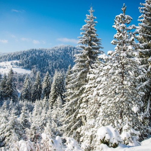 Байкальск и окрестности: от заповедника и экопарка до Тункинской долины и Аршана