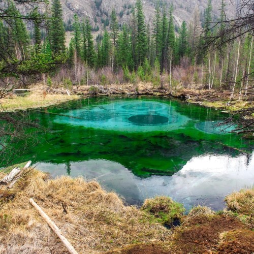 Автотур по Золотому кольцу Алтая с прогулками и посещением Телецкого озера