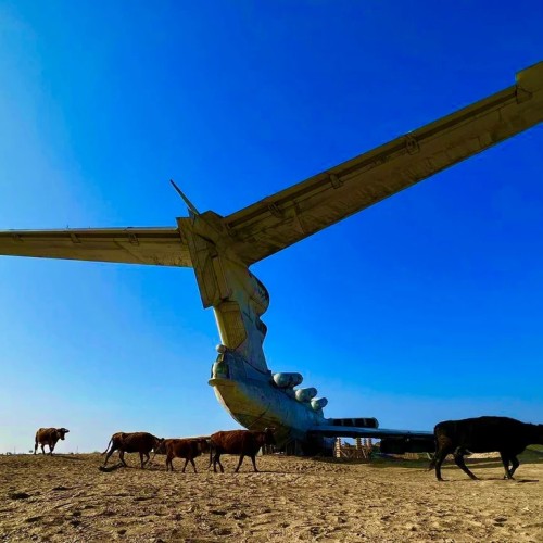 В поисках впечатлений: тур «всё включено» с проживанием в горах и на берегу моря