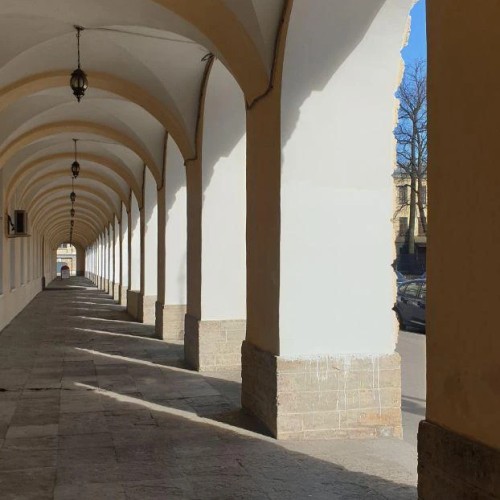 Грани Васильевского: дорогами островитян