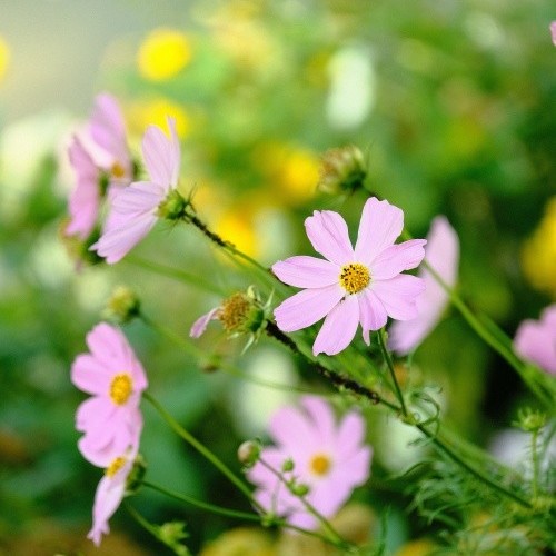 За раз весь Северный Кавказ: большое путешествие по всем республикам