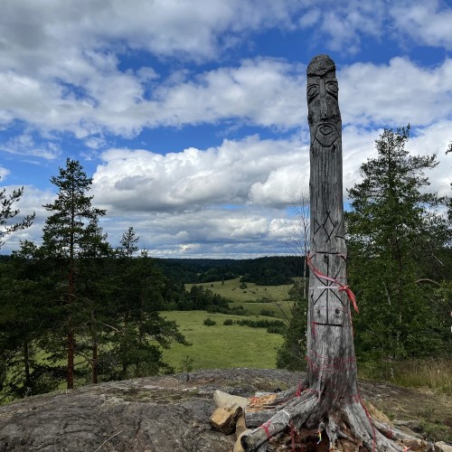 Из Петербурга — на хайкинг по острову Койонсаари