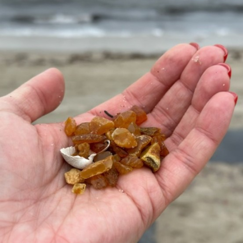 Персональная перезагрузка на Балтийской косе