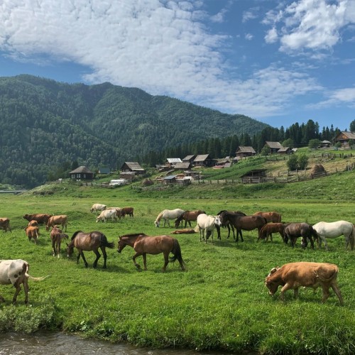 Этноприключение в Горной Шории: тур для всей семьи в мини-группе