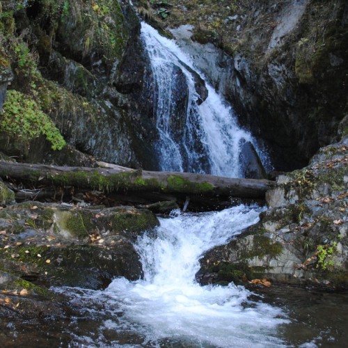 Автотур по Золотому кольцу Алтая с прогулками и посещением Телецкого озера