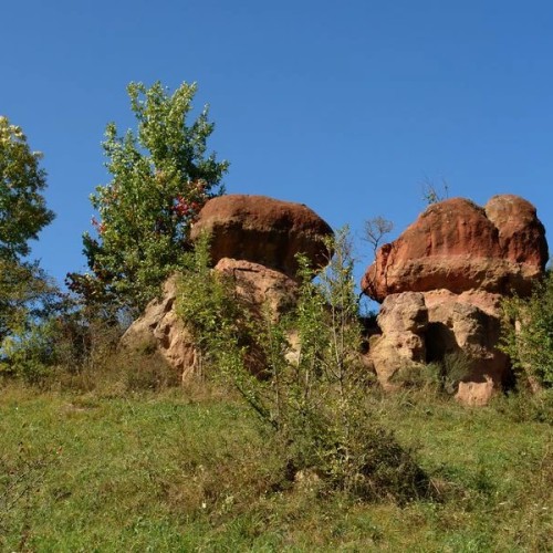 Неизведанные уголки Кисловодского парка