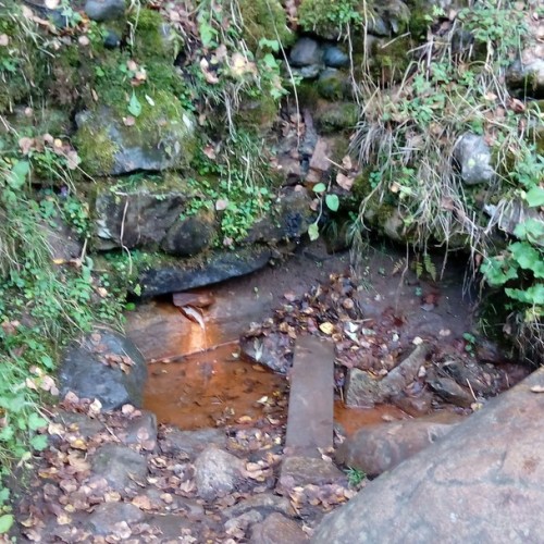 Домбай: экскурсии и походы по заповедным местам