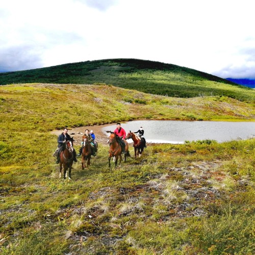На лошадях к Корякскому вулкану с палатками. Всё включено