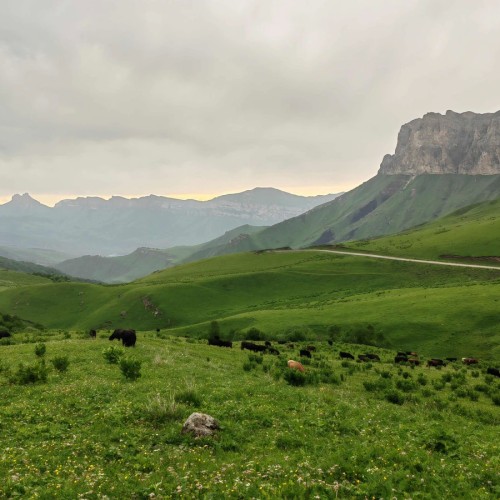Комфортный треккинг в Приэльбрусье в мини-группе