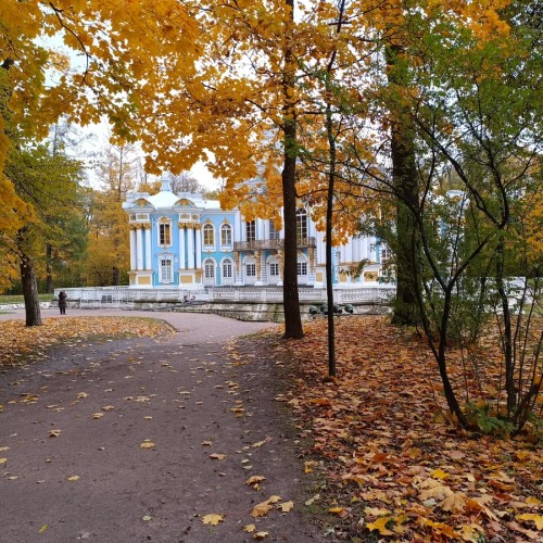 В Пушкин — по дворцам!