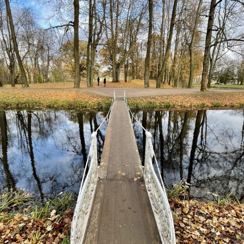 В Екатерининский и Александровский дворцы и парки (в группе)