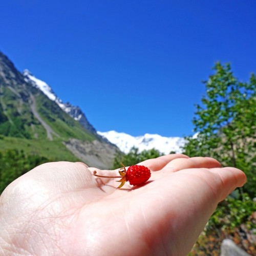 Перезагрузка в Безенги с проживанием в палатках: треккинг к ледникам, водопадам и диким турам