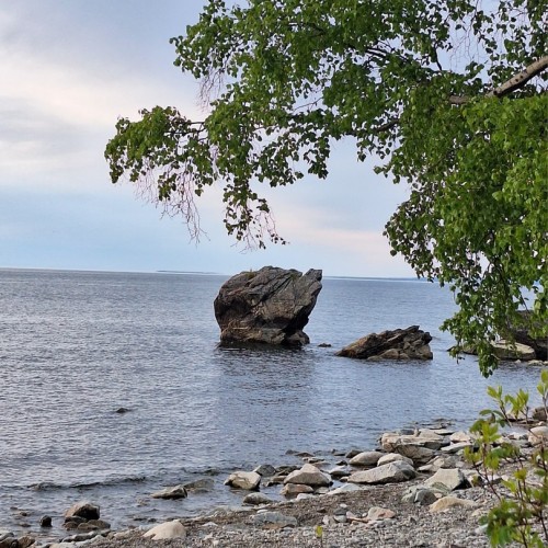 Индивидуальный джип-выезд по Баргузинской долине с посещением священных мест