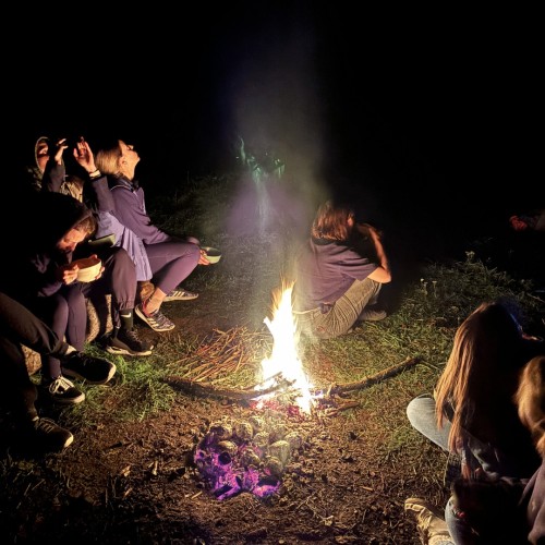 На сапбордах по реке Оредеж в мини-группе со съёмкой