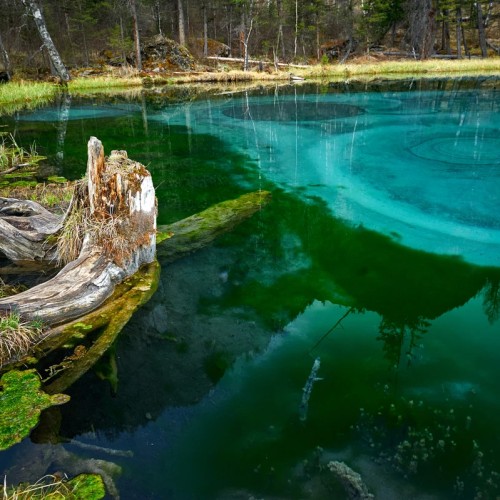 По Чуйскому тракту с алтайским гидом-музыкантом