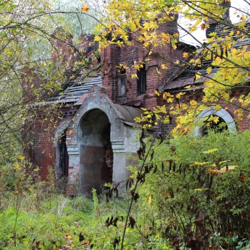 Экскурсия по прекрасной Стрельне