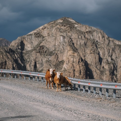 Алтай, удивляй: путешествие по природным достопримечательностям и активный отдых