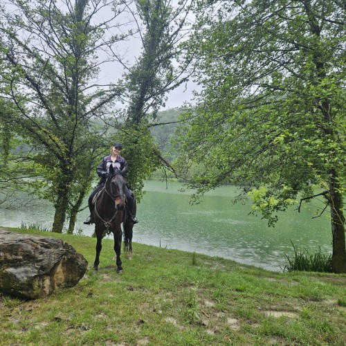 Приключения на лошадях в Сочи для новичков и опытных: по ущельям, долинам и лесам