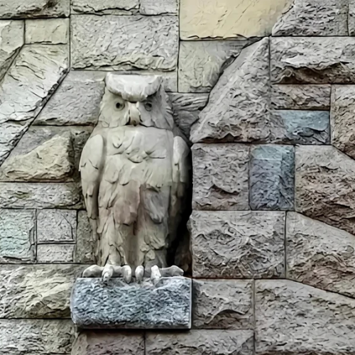 Модерн Петроградской стороны: прогулка-исследование