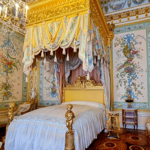 Романтический Павловск: по дворцу и парку с персональным гидом