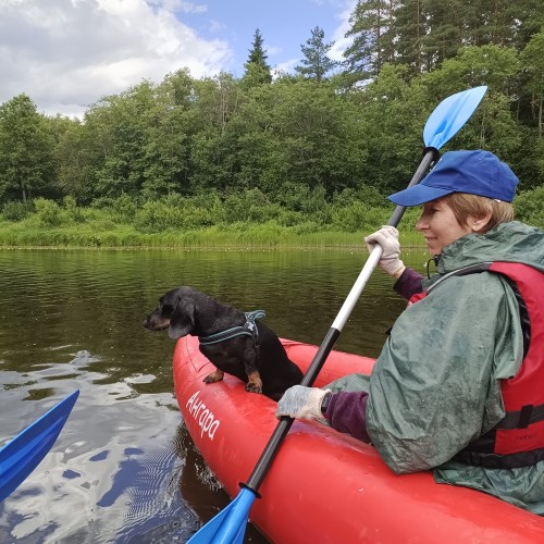 Подальше в лес: сплав на байдарках по реке Медведице