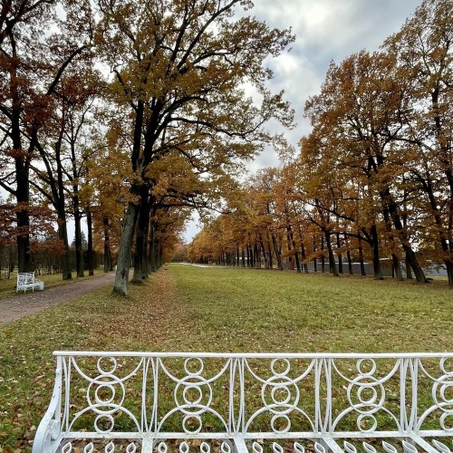 Пешком по Царскому Селу: Екатерининский и Александровский парки
