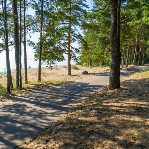 Комарово: аудиопрогулка по Лесной стороне